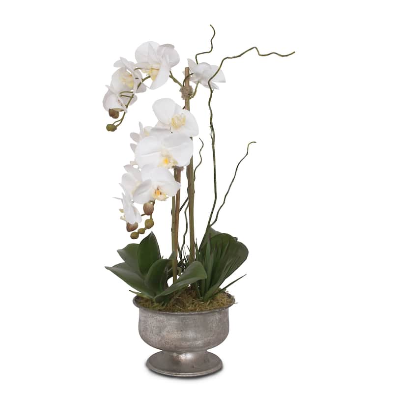 Real Touch White Orchids with Succulent in Silver Aged Metal Pot