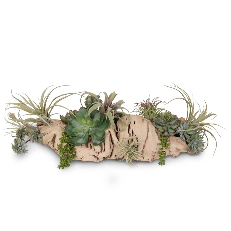 Various Succulents In Grapevine Wood Log - On Sale - Bed Bath & Beyond 