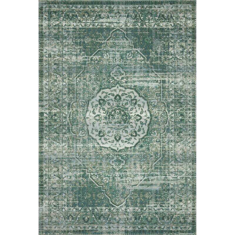 Alexander Home Armanda Modern Medallion Indoor/ Outdoor Area Rug