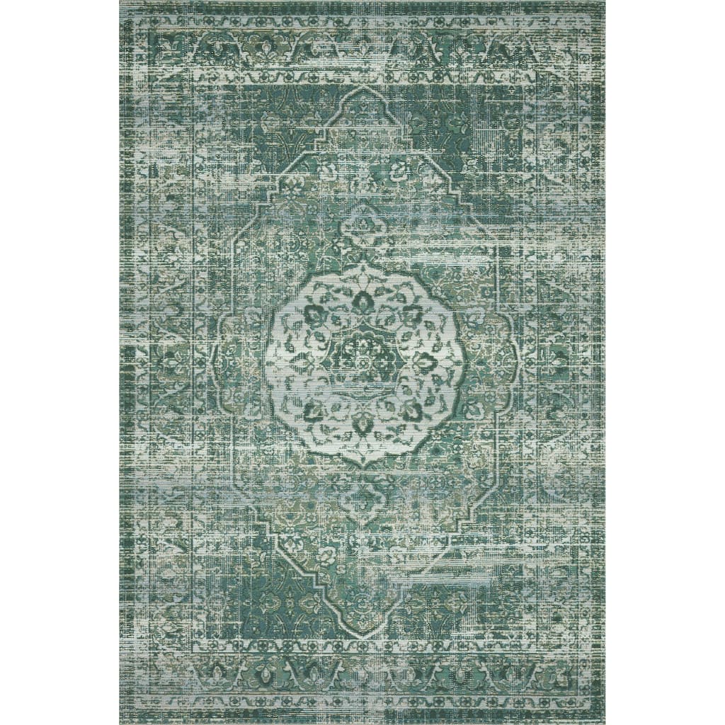 Alexander Home Armanda Modern Medallion Indoor/ Outdoor Area Rug
