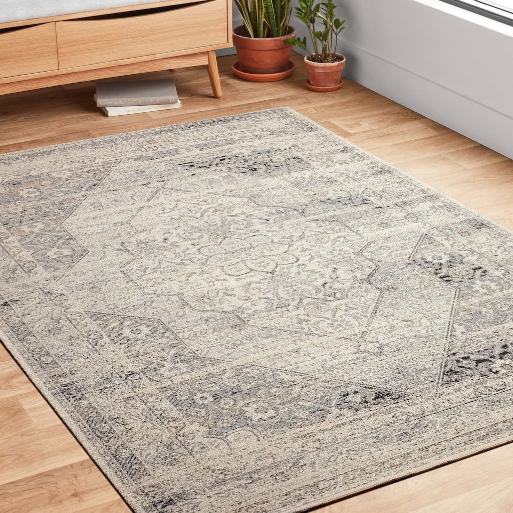 Alexander Home Armanda Distressed Indoor/ Outdoor Area Rug