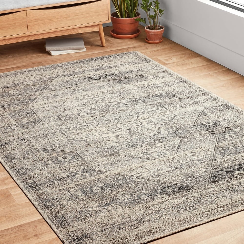 Alexander Home Armanda Distressed Indoor/ Outdoor Area Rug