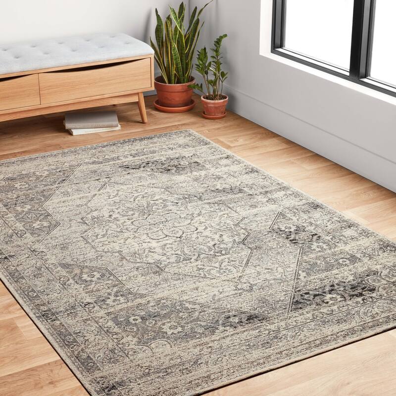 Alexander Home Armanda Distressed Indoor/ Outdoor Area Rug