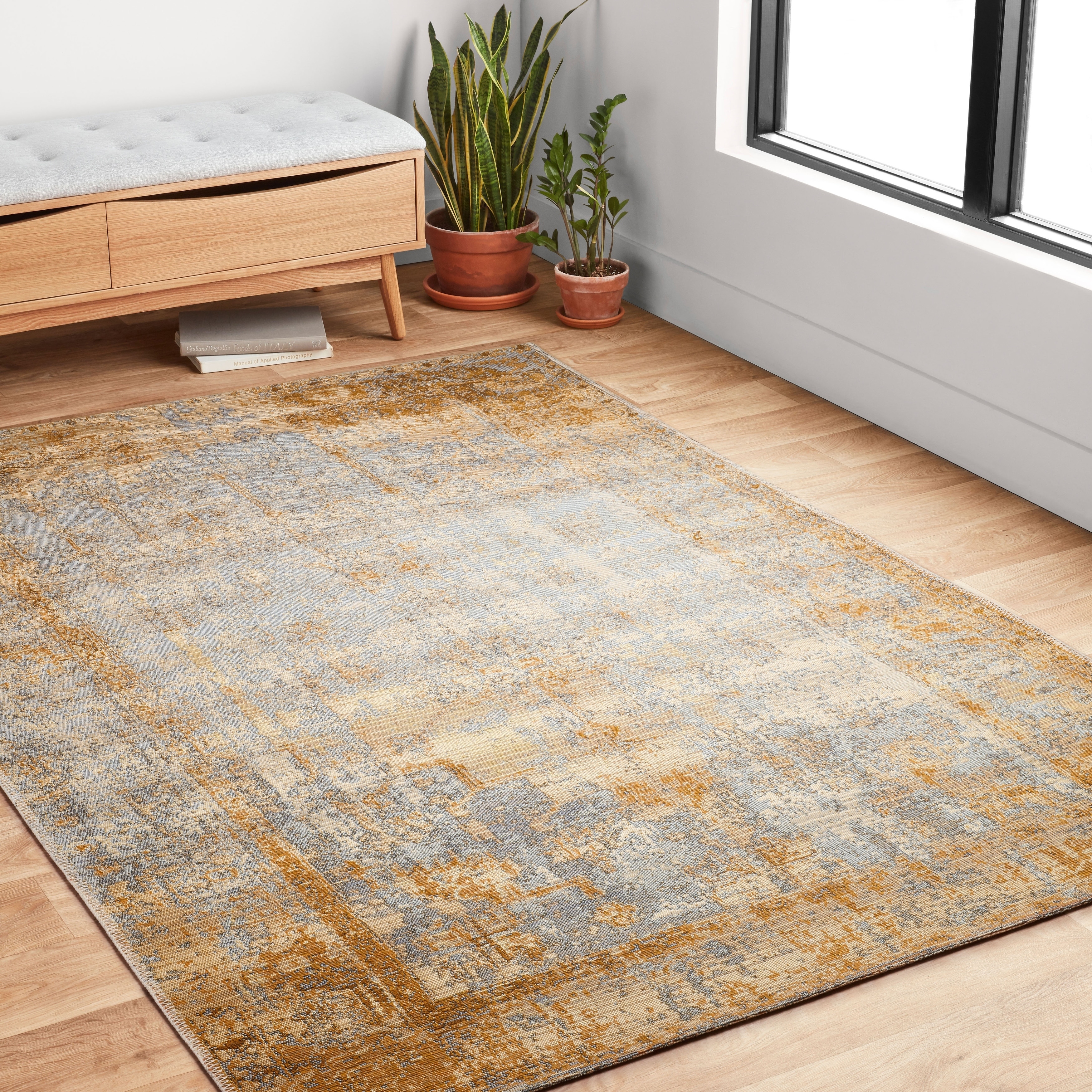 https://ak1.ostkcdn.com/images/products/28875791/Alexander-Home-Armanda-Modern-Distressed-Indoor-Outdoor-Area-Rug-23319df7-953a-429d-b656-2ebe940ca404.jpg