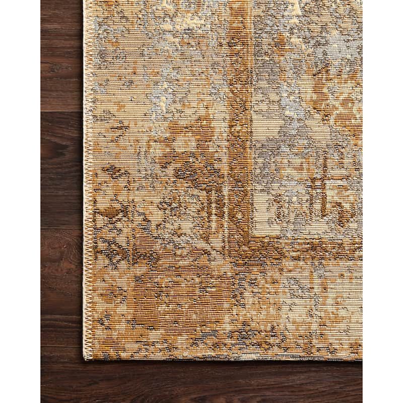 Alexander Home Armanda Modern Distressed Indoor/ Outdoor Area Rug