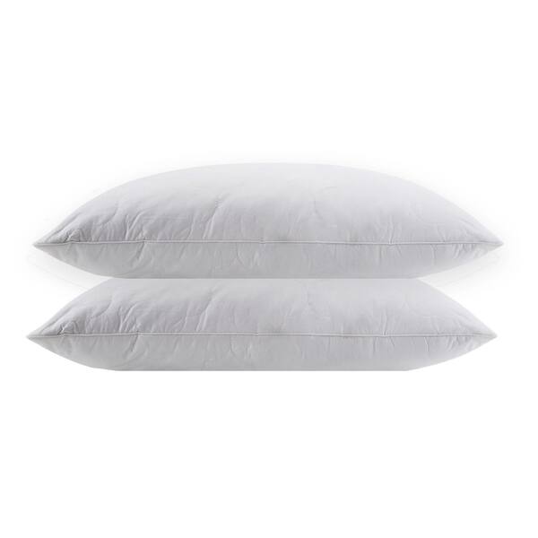 Peace Nest 2 Pack Feather Down Throw Pillow Insert, White, 18 X