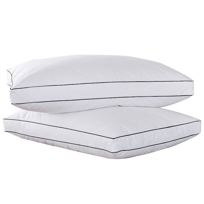 Peace Nest Feather & Down Blend Gusset Pillow (Set of 2)