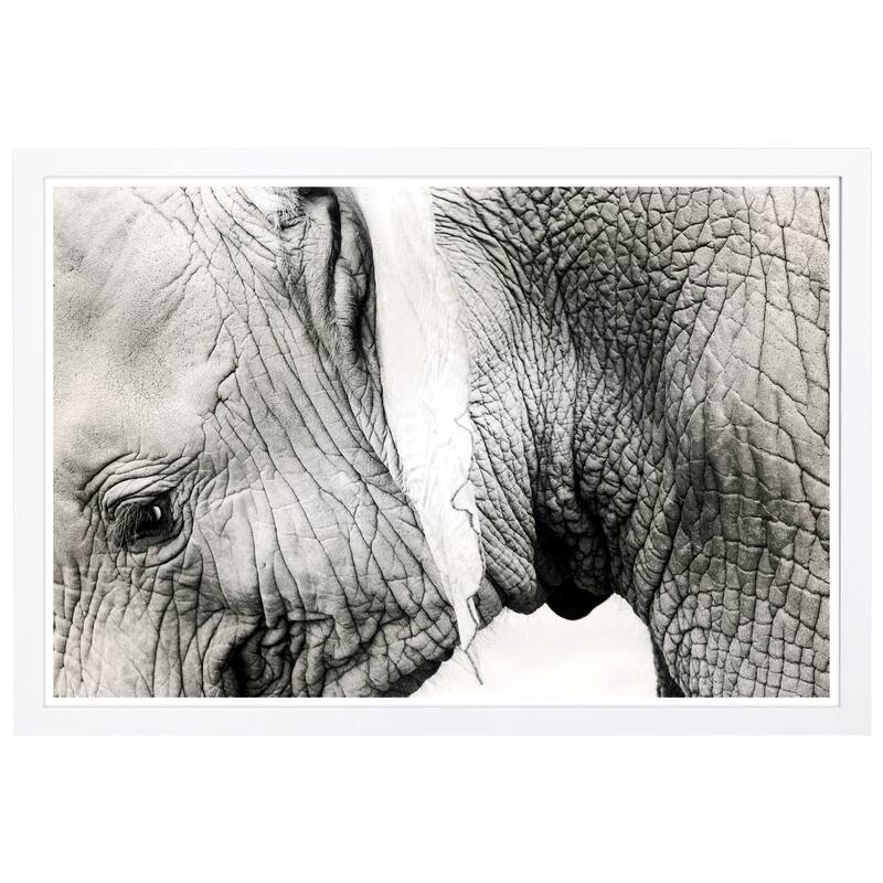 Wynwood Studio 'Gentle Giant' Animals Framed Wall Art Print - Black, White