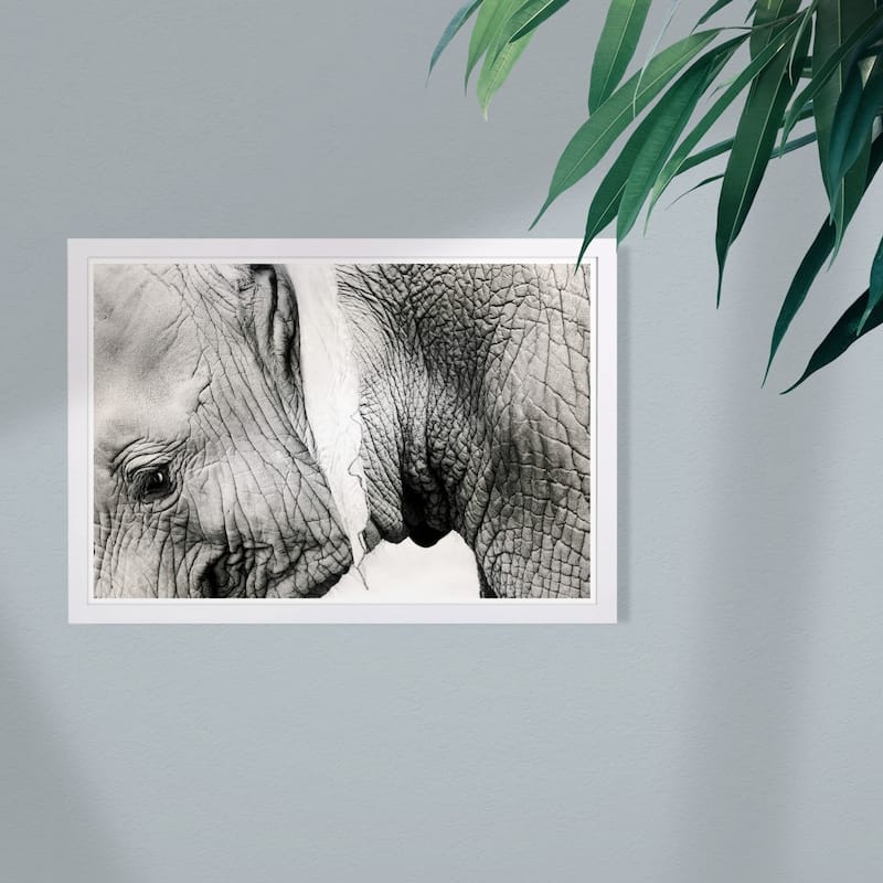Wynwood Studio 'Gentle Giant' Animals Framed Wall Art Print - Black, White