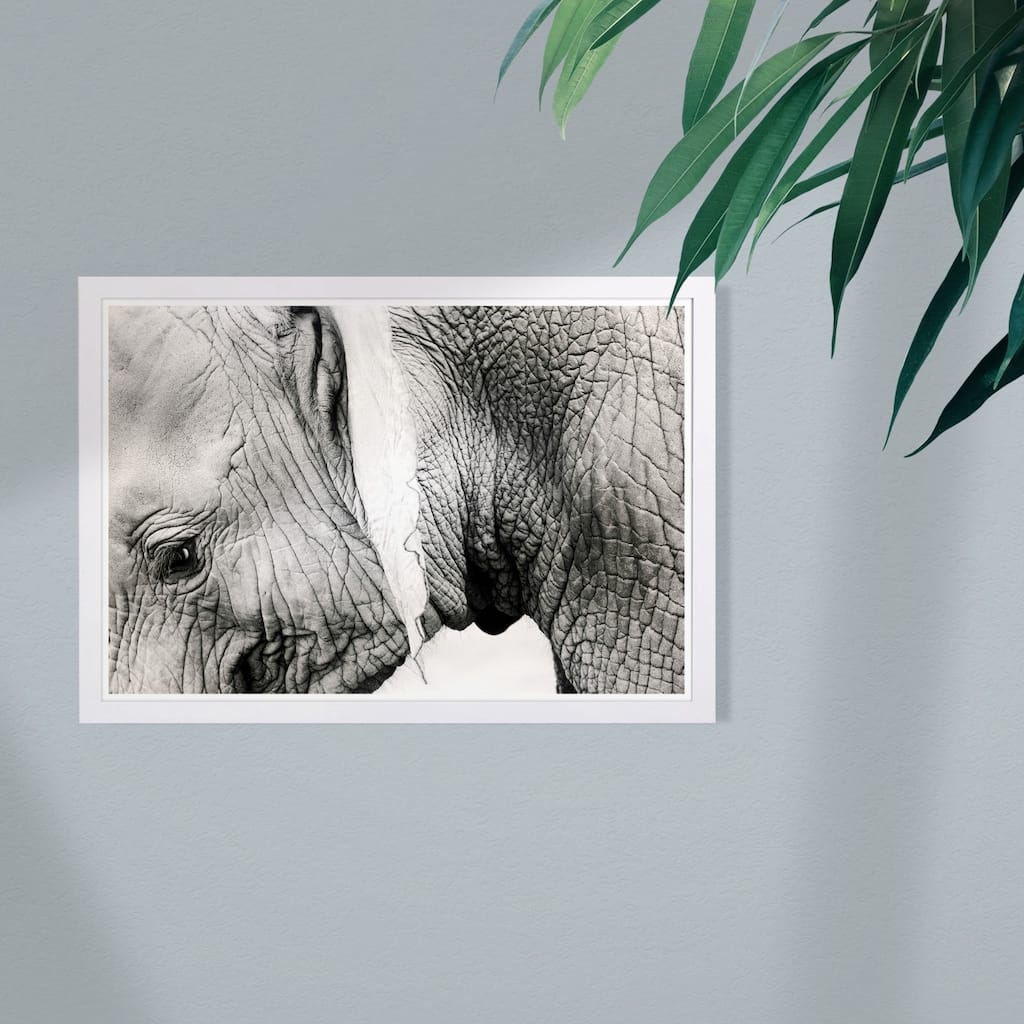 Wynwood Studio 'Gentle Giant' Animals Framed Wall Art Print - Black, White