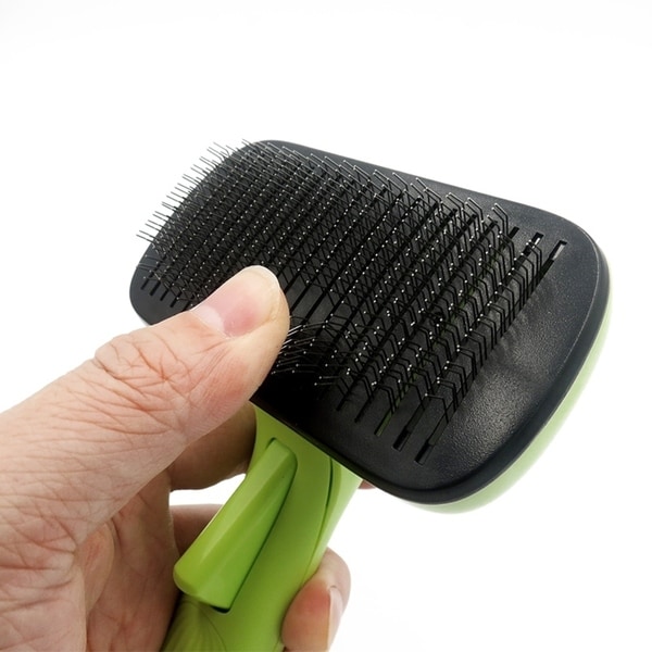 automatic dog brush