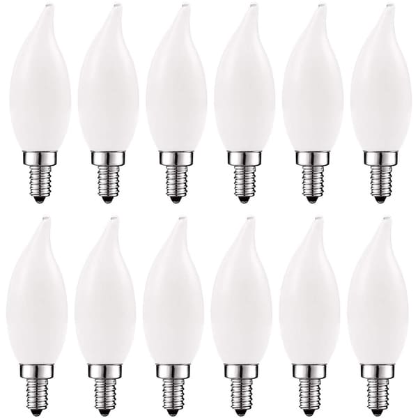 12 Bulbs 12 Incandescent Light Bulbs E26 Base 60 Watt 600 Lumens Soft White
