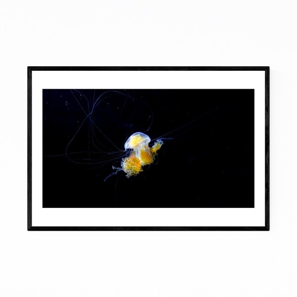 Noir Gallery Osaka Japan Jellyfish Abstract Framed Art Print