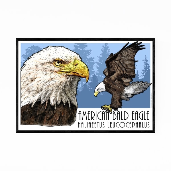 Noir Gallery Bald Eagle Animal Illustration Framed Art Print