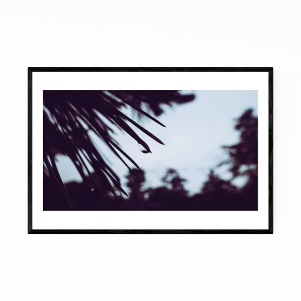 Noir Gallery Nara Japan Abstract Photography Framed Art Print