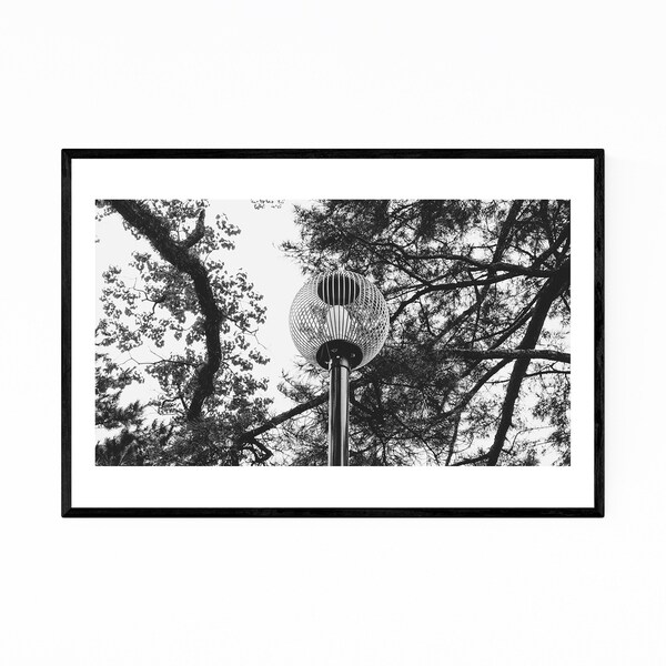 Noir Gallery Nara Japan Abstract Photography Framed Art Print