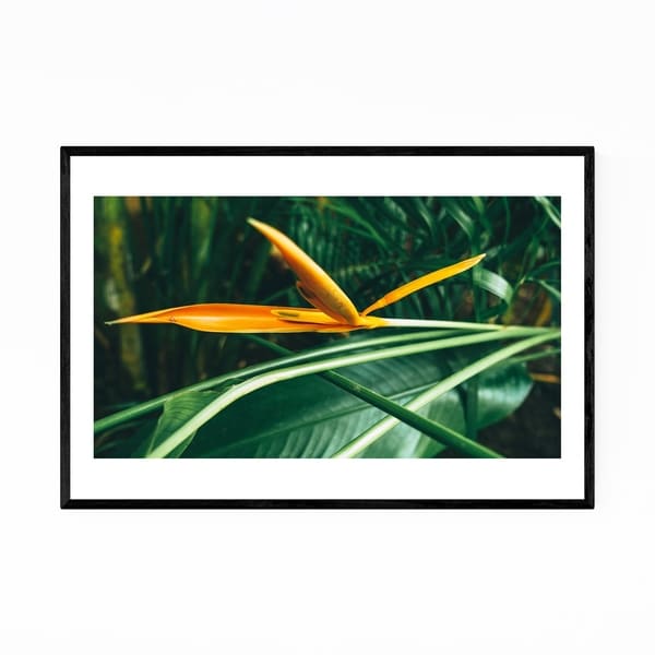 Noir Gallery Goa India Abstract Photography Framed Art Print