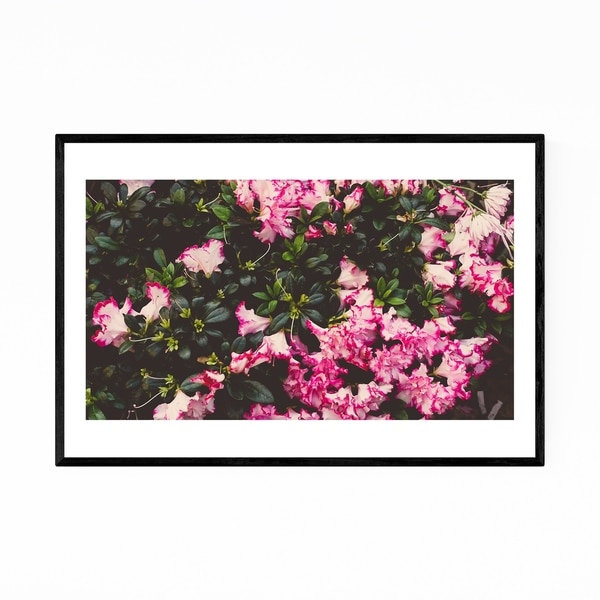Noir Gallery Floral Botanical Abstract Framed Art Print