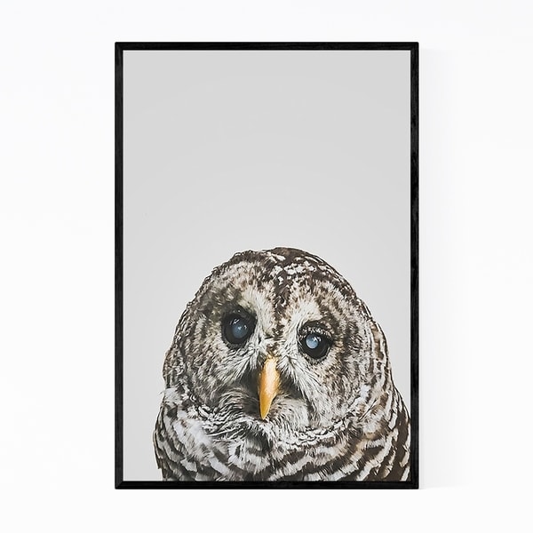 Noir Gallery Owl Kid's Room Animal Portrait Framed Art Print