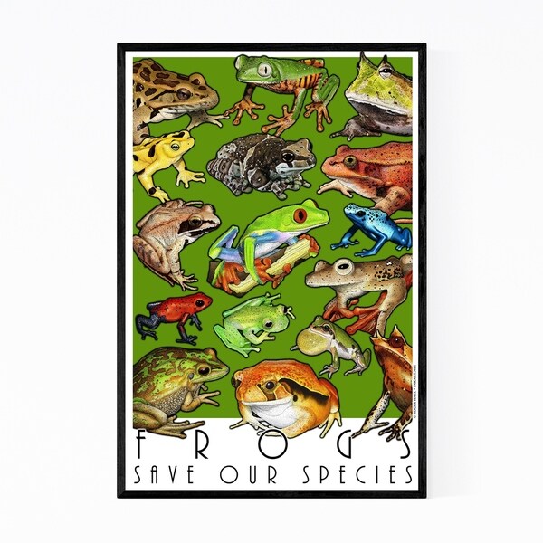Noir Gallery Frogs Animal Illustration Framed Art Print