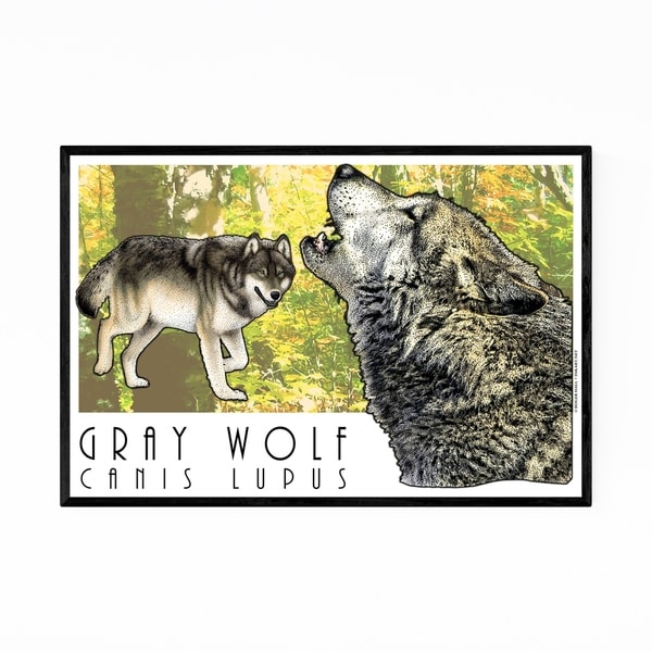 Noir Gallery Gray Wolf Animal Illustration Framed Art Print