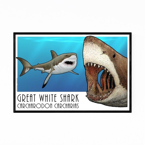 Noir Gallery White Shark Animal Illustration Framed Art Print