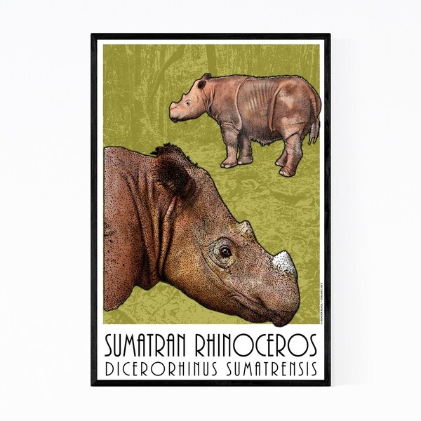 Noir Gallery Sumatran Rhino Animal Illustration Framed Art Print