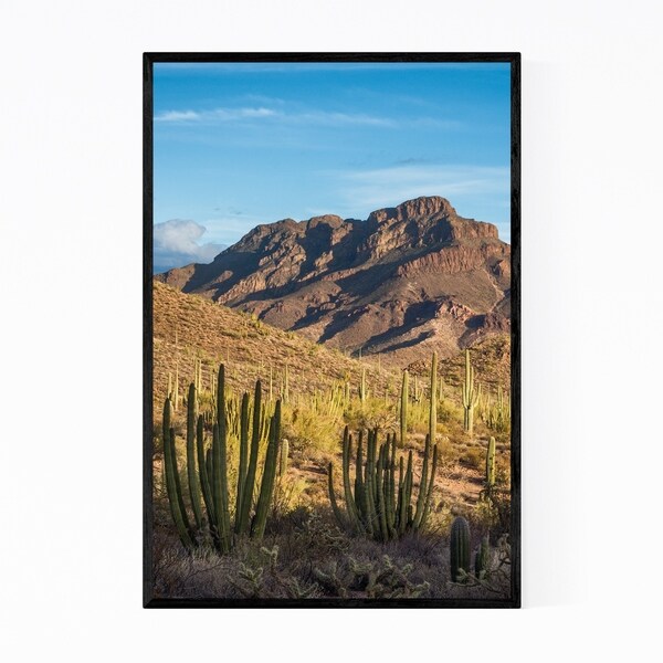 Noir Gallery Organ Pipe Cactus Arizona Photo Framed Art Print