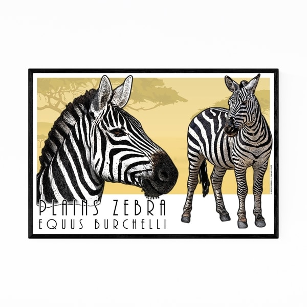 Noir Gallery Plains Zebra Animal Illustration Framed Art Print