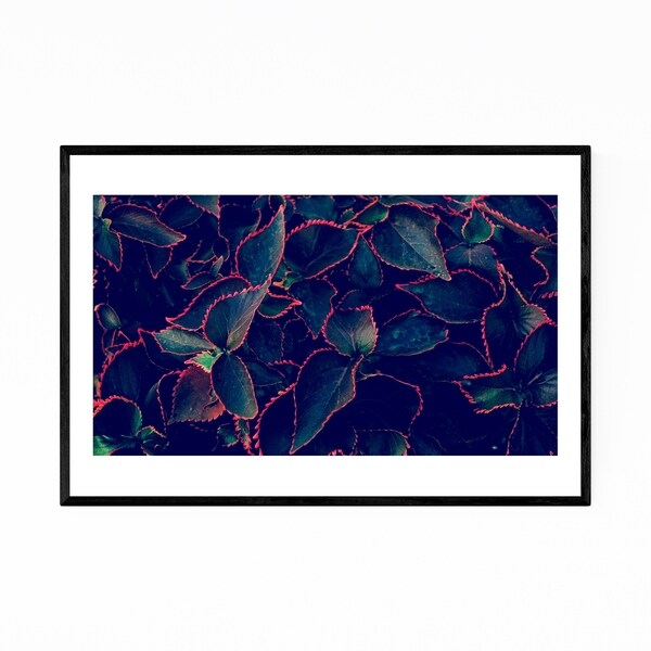 Noir Gallery Mumbai India Abstract Photography Framed Art Print