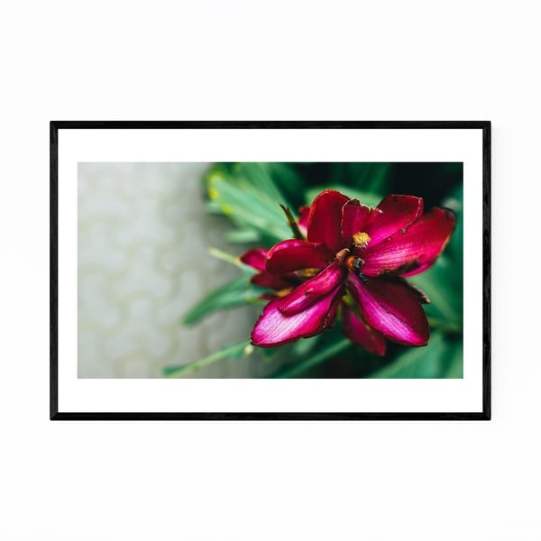 Noir Gallery Floral Botanical Abstract Framed Art Print