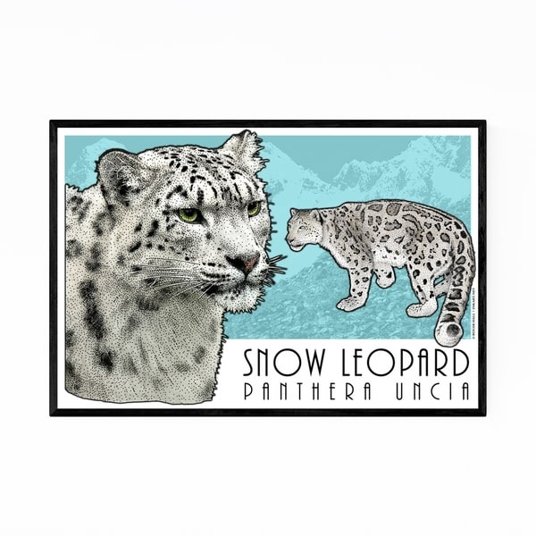 Noir Gallery Snow Leopard Animal Illustration Framed Art Print