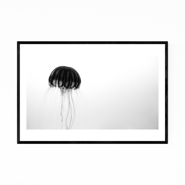 Noir Gallery Osaka Aquarium KAIYUKAN Jellyfish Framed Art Print