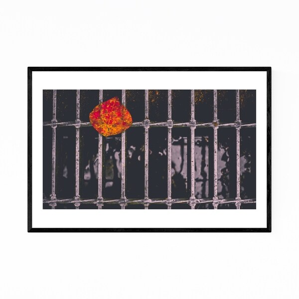 Noir Gallery Nara Japan Abstract Photography Framed Art Print