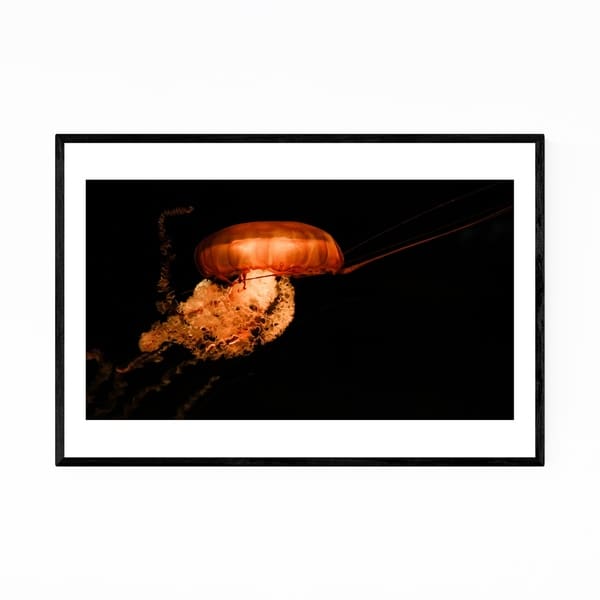 Noir Gallery Osaka Aquarium KAIYUKAN Jellyfish Framed Art Print