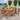 Stockton Outdoor 8 Seater Acacia Wood Dining Set by Christopher Knight Home