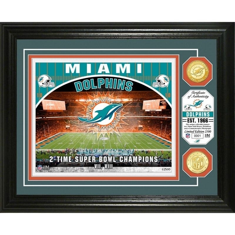 Miami Dolphins Bleacher Cushion