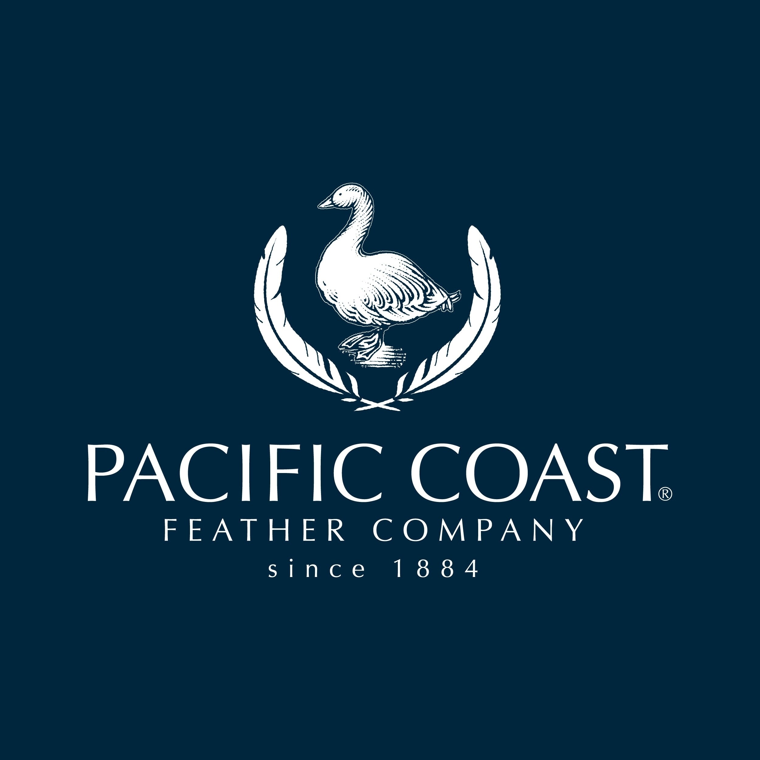 Shop Pacific Coast Hotel Symmetry Pillow White Free Shipping