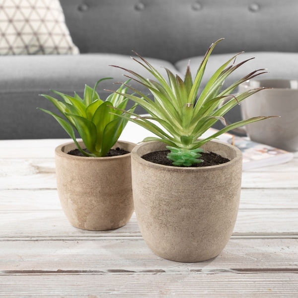Faux Aloe Plant Arrangements - Set of 2 Lifelike Plastic Succulent Greenery in Stone Look Pots by Pure Garden