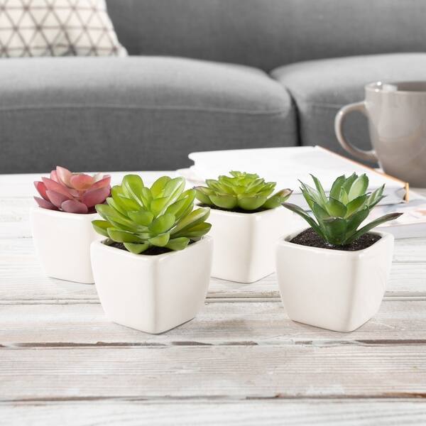 Shop Faux Succulents Set Of 4 Assorted Lifelike Plastic Greenery