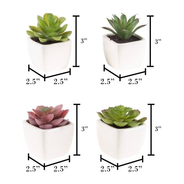 Shop Faux Succulents Set Of 4 Assorted Lifelike Plastic Greenery