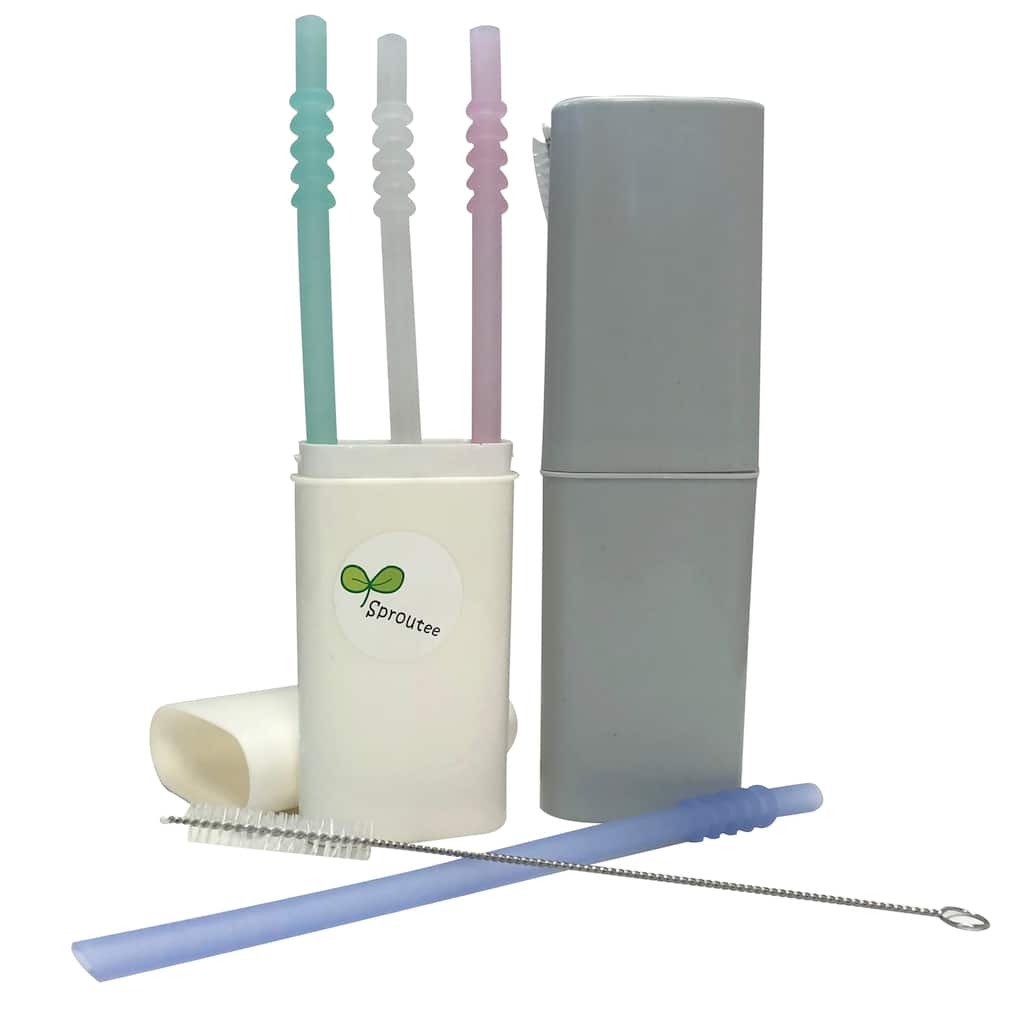Silicone Straws(4) With Bonus Container and Brush
