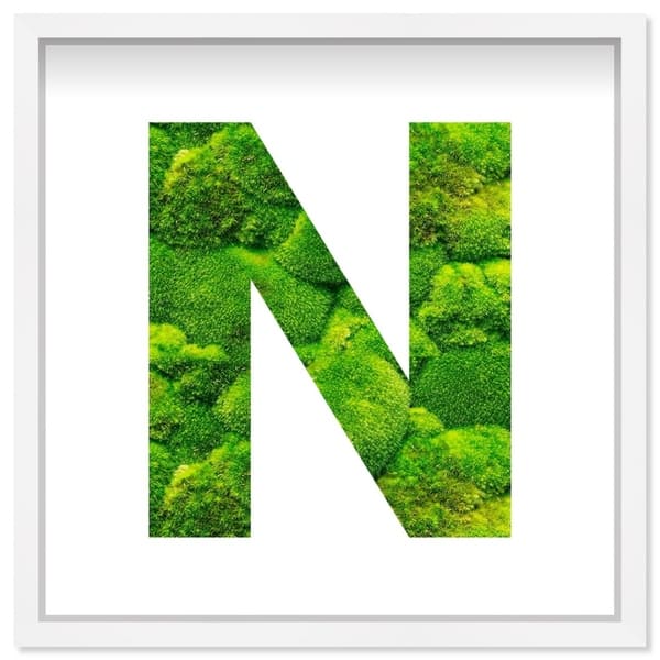 Shop Oliver Gal The Letter N Nature Alphabet Letters Live Moss Art Overstock 29006724