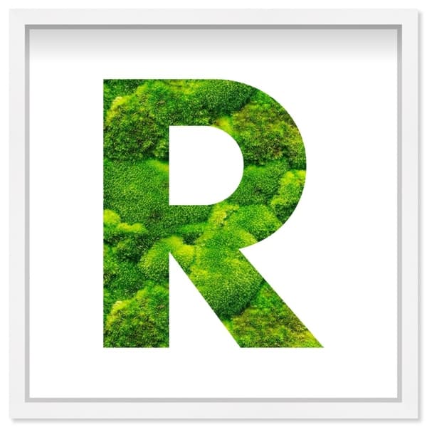 Oliver Gal' The Letter R Nature' Alphabet Letters Live Moss Art Bed