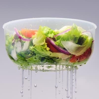 Easy Essentials Specialty Salad Bowl with Colander Insert, 16.9C