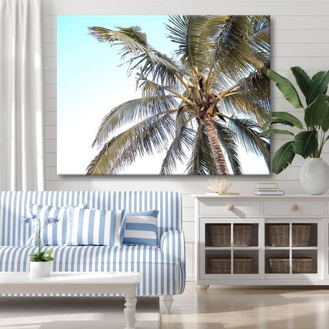 TROPICAL PALM Beach Gallery Wrapped Canvas by Norman Wyatt Home