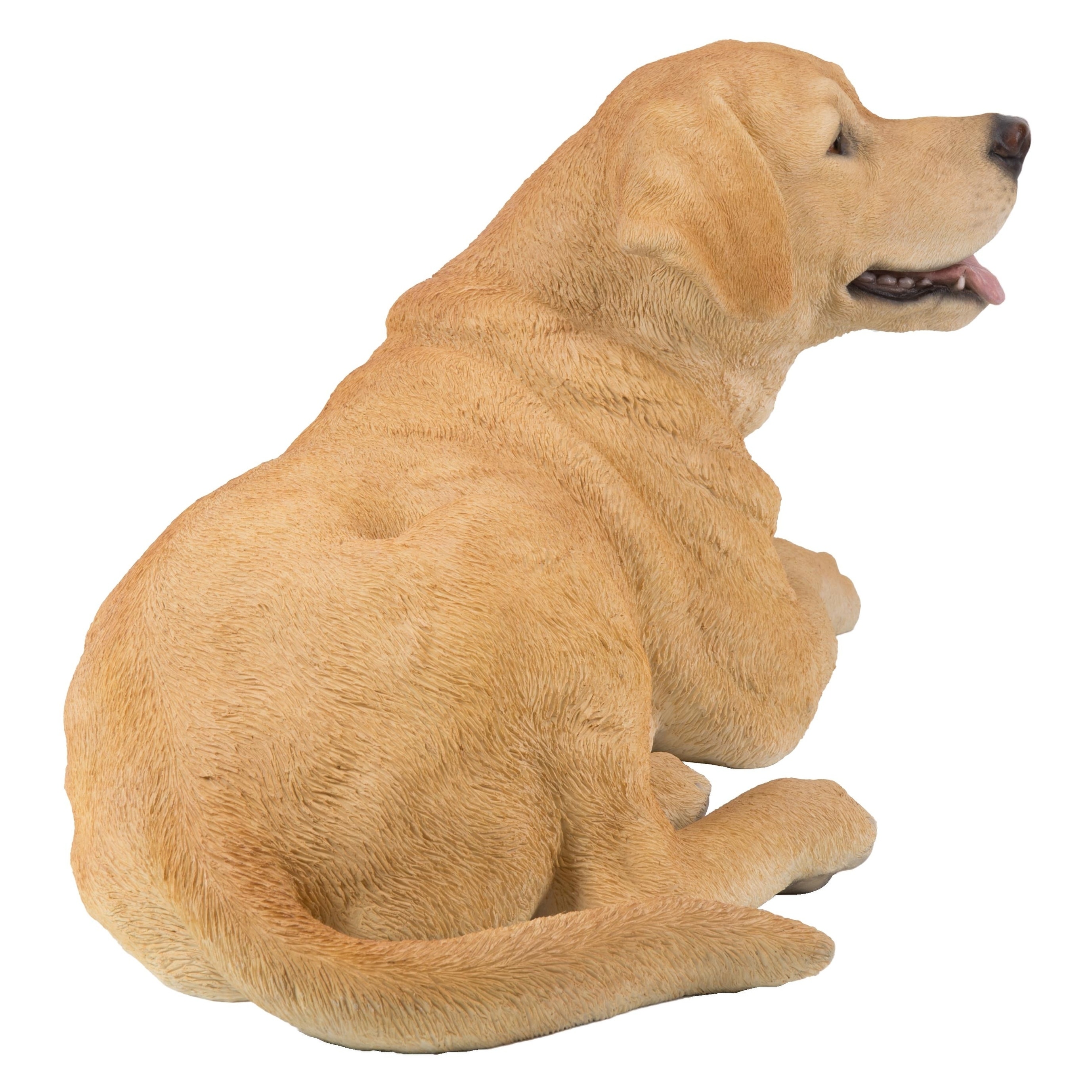 https://ak1.ostkcdn.com/images/products/29045196/Yellow-Labrador-Retriever-Lying-Down-f52581b9-0d1b-41ed-aeaa-c279e06157cb.jpg