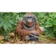 Orangutan Sitting - Bed Bath & Beyond - 29045353