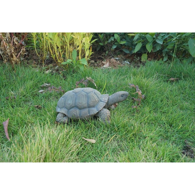 Turtle 10 Inch