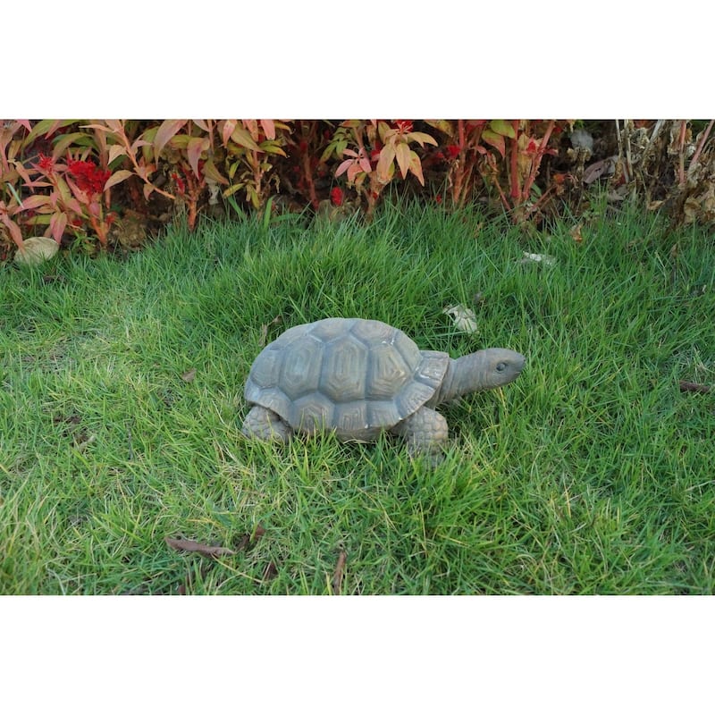 Turtle 10 Inch